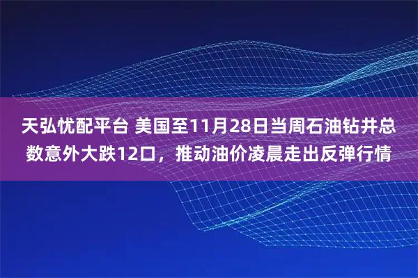 天弘忧配平台 美国至11月28日当周石油钻井总数意外大跌12口，推动油价凌晨走出反弹行情