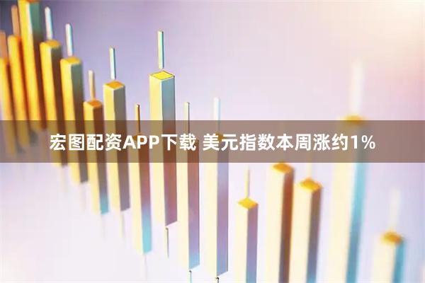 宏图配资APP下载 美元指数本周涨约1%